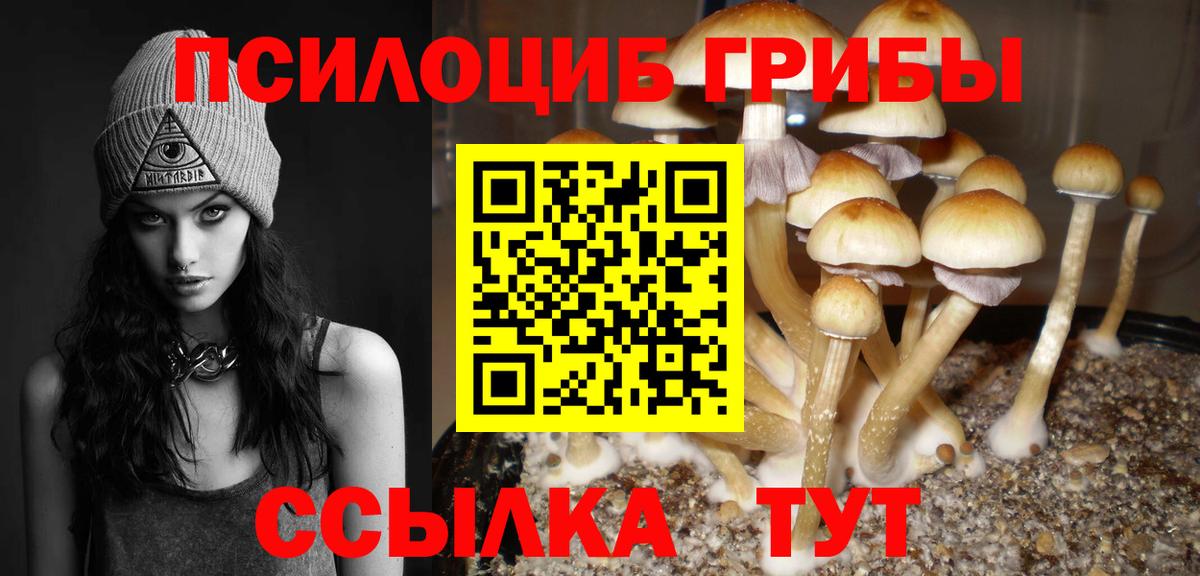 Галлюциногенные грибы мицелий  Псилоцибиновые грибы Psilocybine cubensis  Вход с VPN  Троицк 